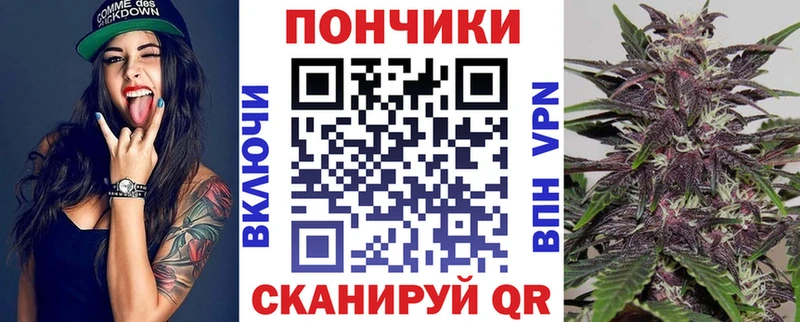 Купить закладку Кировск APVP  ГАШИШ  АМФ  Каннабис 