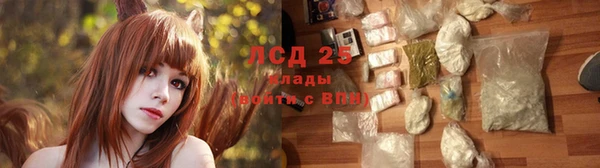 прущие крисы Михайловск