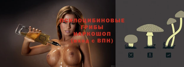 прущая мука Медногорск