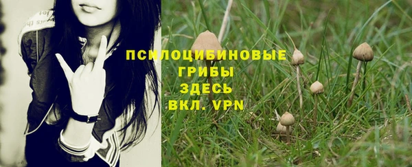 гидропоника Михайловка