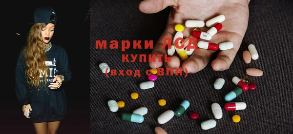 гашик Михайлов