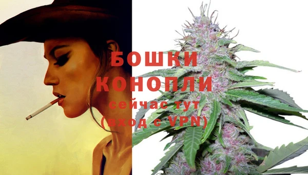 гидропоника Михайловка