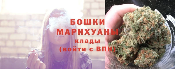 гашик Михайлов