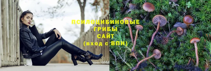 Галлюциногенные грибы Magic Shrooms Кировск