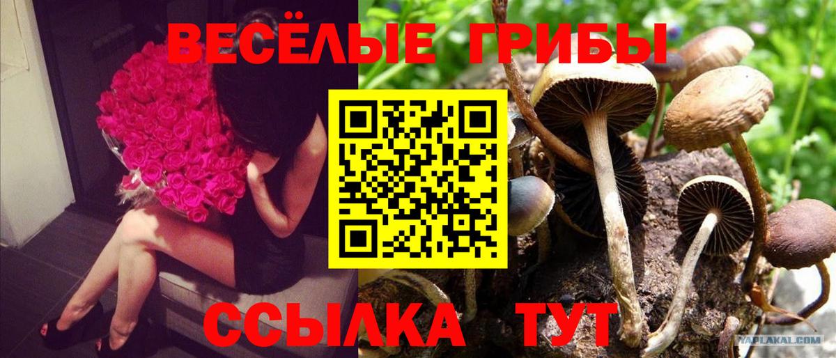 Псилоцибиновые грибы MAGIC MUSHROOMS  Кировск  Галлюциногенные грибы ЛСД 